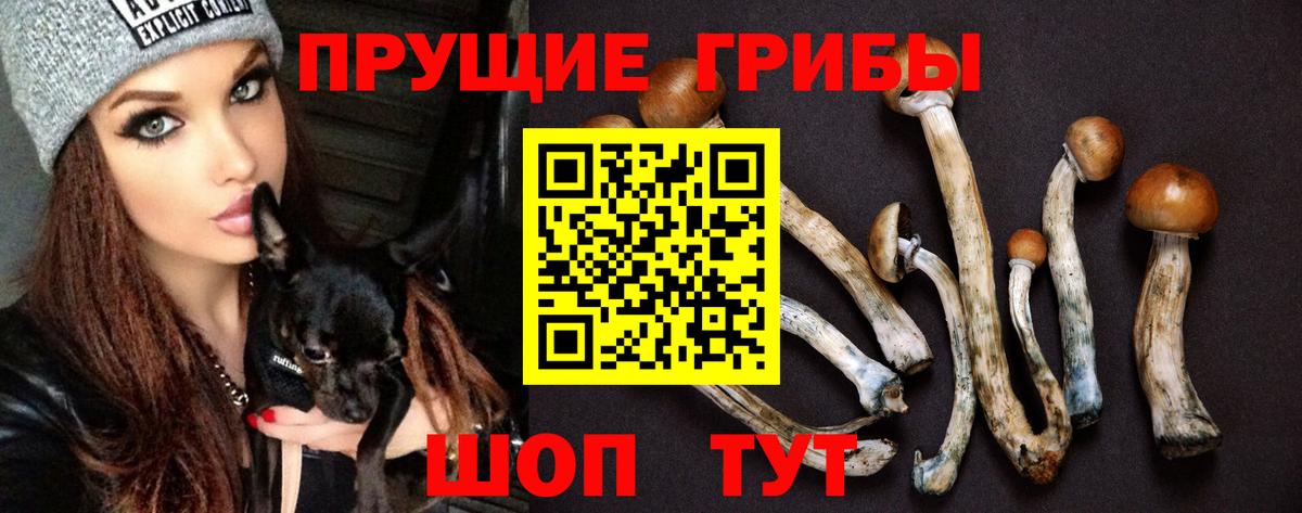 наркота  Вход с VPN  Обь  Галлюциногенные грибы мицелий 